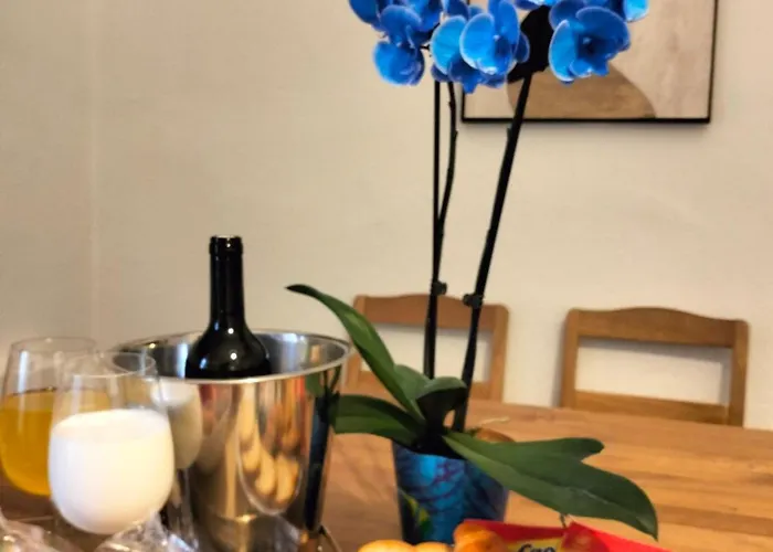 Dulce Manana بورتومارين